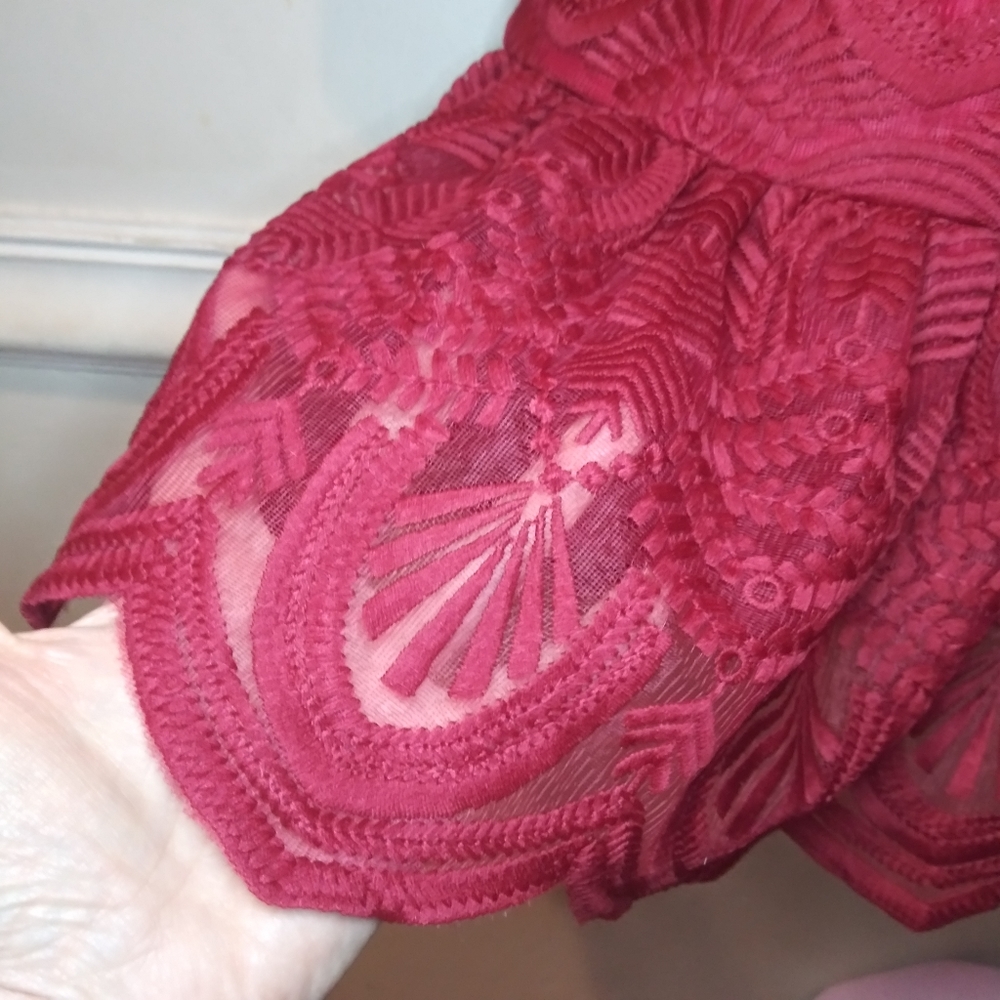 Xenia Boutique Sexy Burgundy Embroidered Net Ruffled Hem Mini Dress - Picture 11 of 16